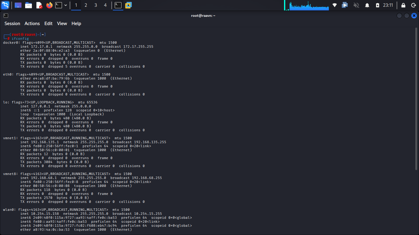Network interface verification