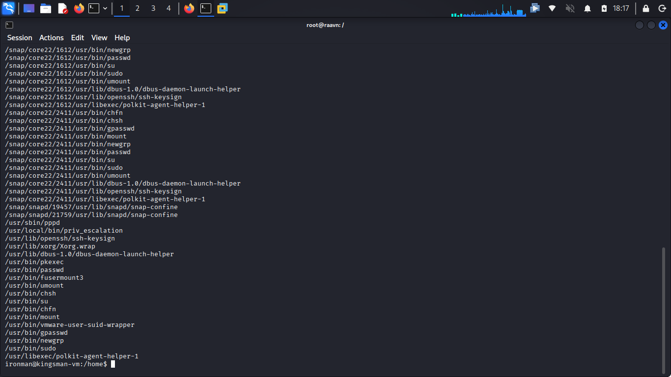 Checking SUID permissions