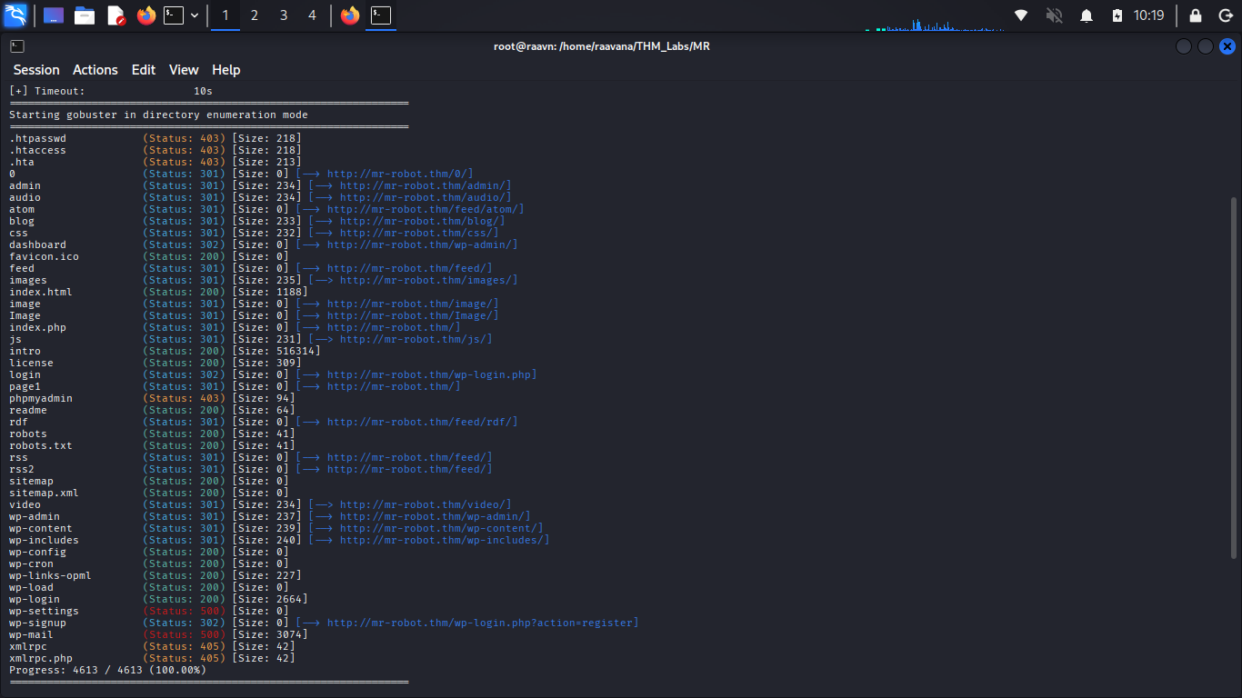 Gobuster directory brute force output