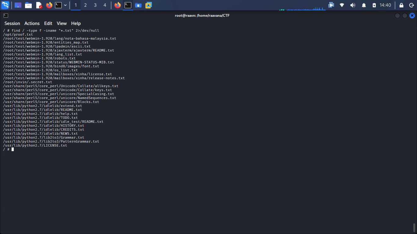 Searching the entire filesystem for flag text files