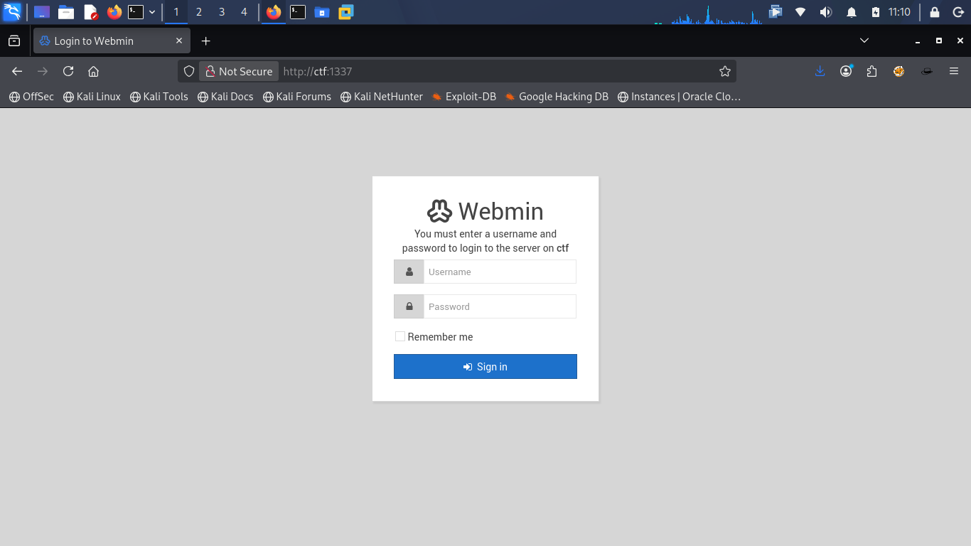 Accessing the Webmin page on port 1337